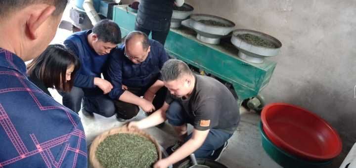 独山县高山绿茶 一级 袋装 