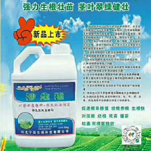 晋州市妙生根 