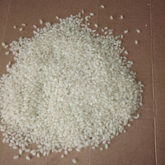 涟水县南粳9108大米 一等品 一季稻 粳米 
