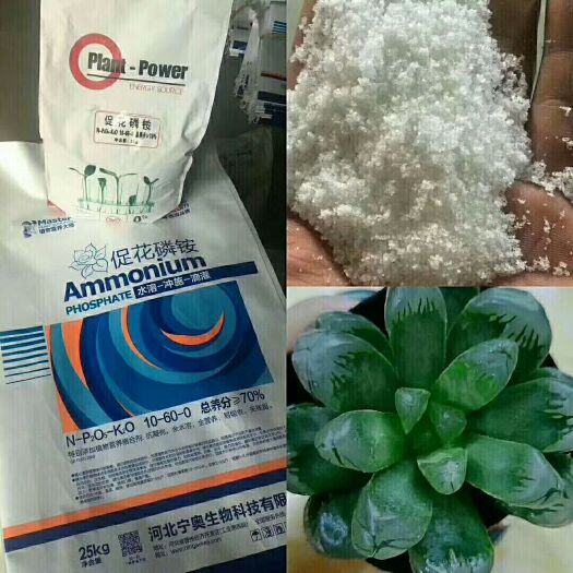 晋州市磷肥 