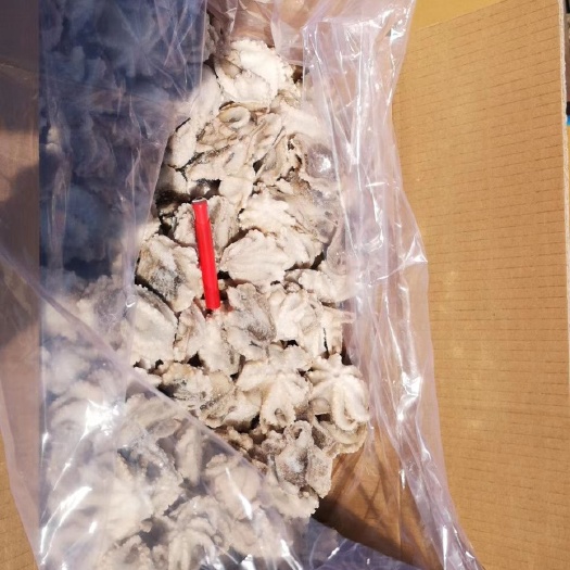 东港市章鱼翻花八爪鱼单冻八爪鱼