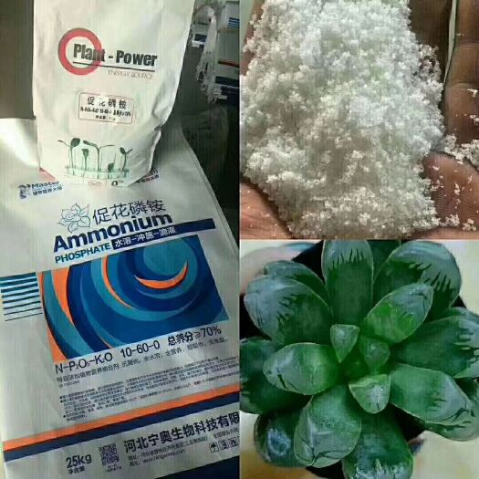 晋州市磷肥 