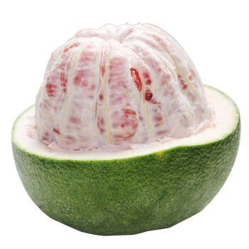 灵山县泰国青柚苗 
