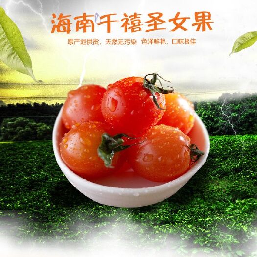 海口千禧圣女果  品质保证，果园采摘