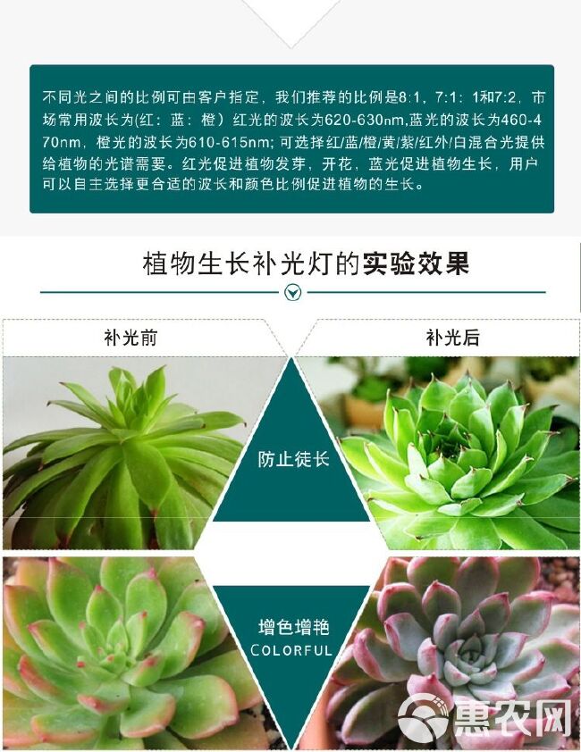 植物补光灯 30.50.80.100W