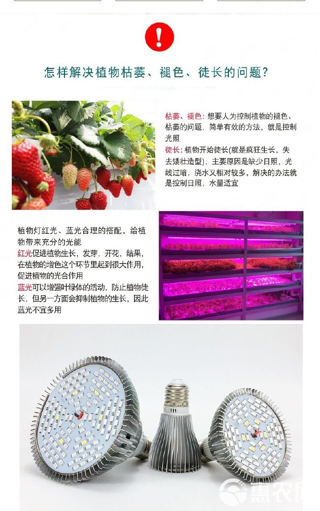 植物补光灯 30.50.80.100W