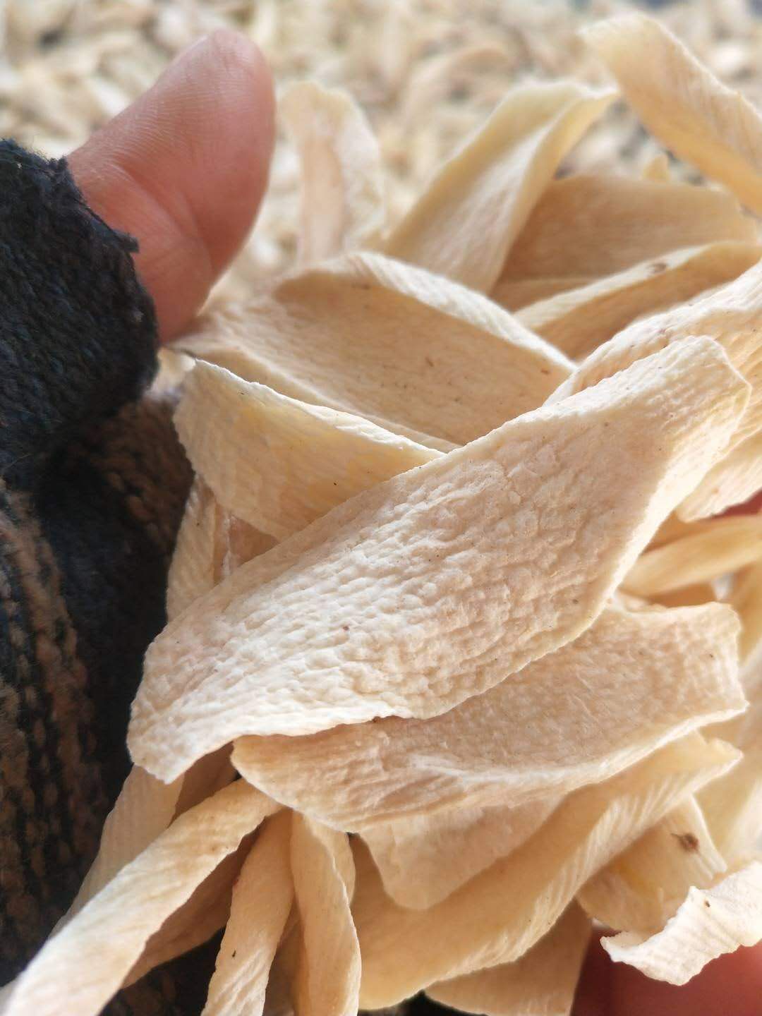 铁棍山药片 3-6个月 