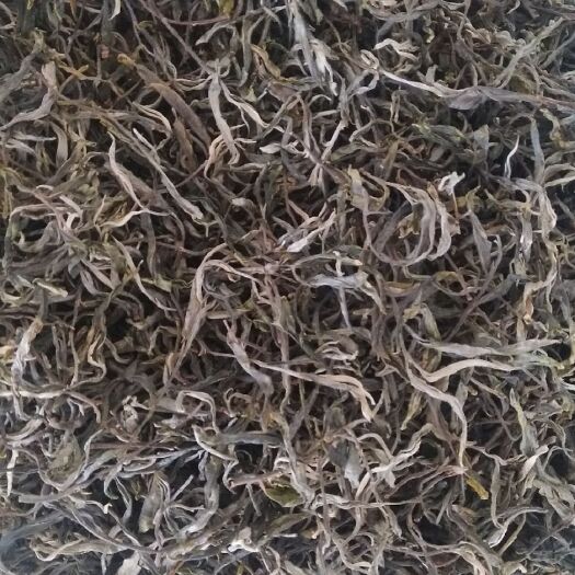 临沧三清山白茶 特级 散装 