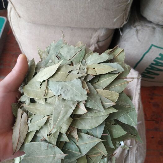 玉林香叶 颜色好，无枝，碎少