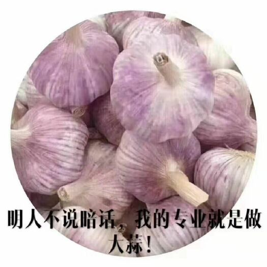 杞县杞县大蒜 混级统货 多瓣蒜 