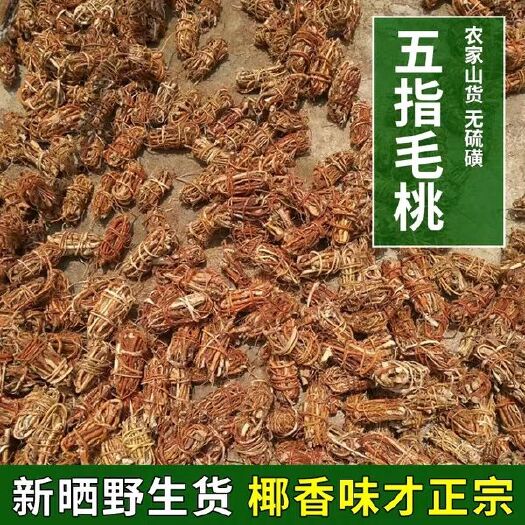 信宜市五指毛桃 