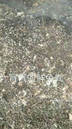 正定县兔粪