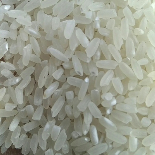 永吉县东北大米 一等品 一季稻 粳米 