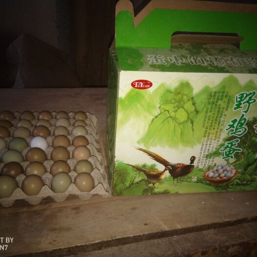 商河县山地鸡鸡蛋 食用 简包装 