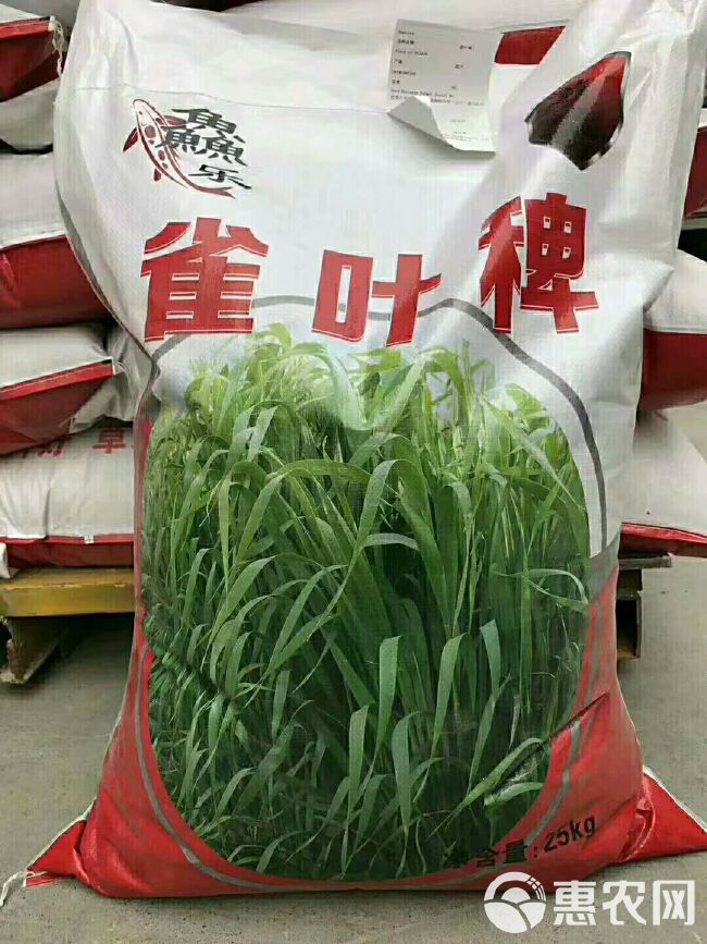  小米草养殖鱼虾蟹