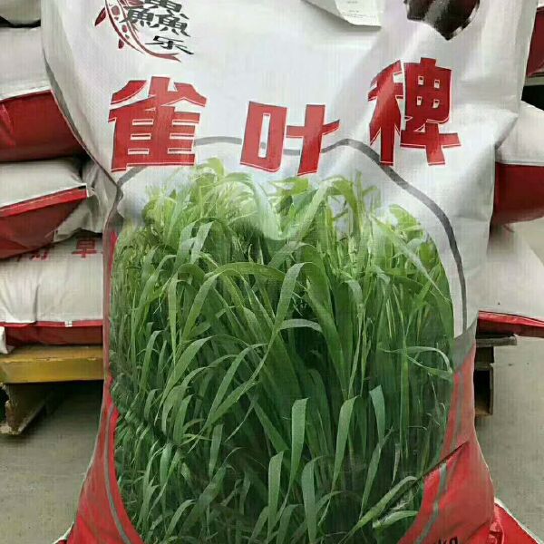  小米草养殖鱼虾蟹