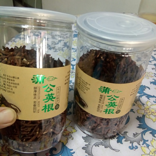 杜尔伯特蒲公英 