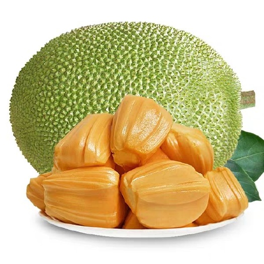 南宁红肉菠萝蜜 10-11斤左右