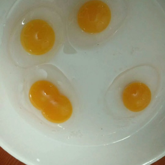 连城县白鸭蛋 食用 散装 