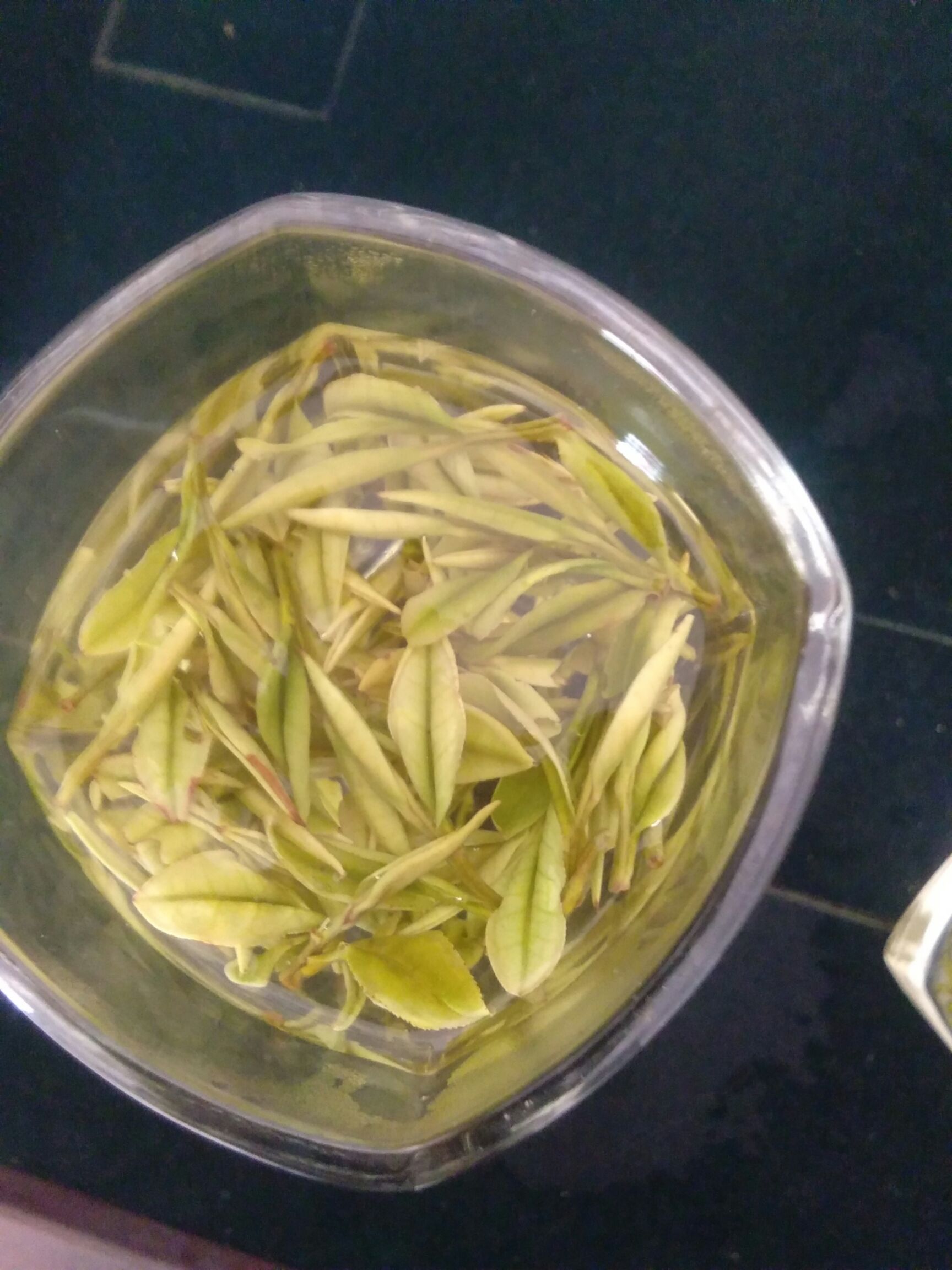 安吉白茶 特级 礼盒装