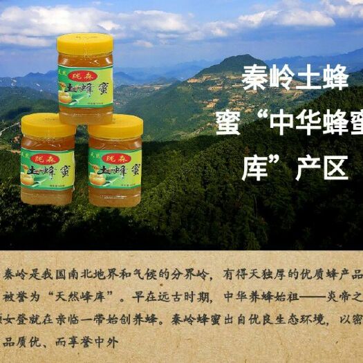 陇南土蜂蜜 塑料瓶装 1年  