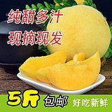 蒙阴县黄金黄桃 45mm以上 3 - 4两