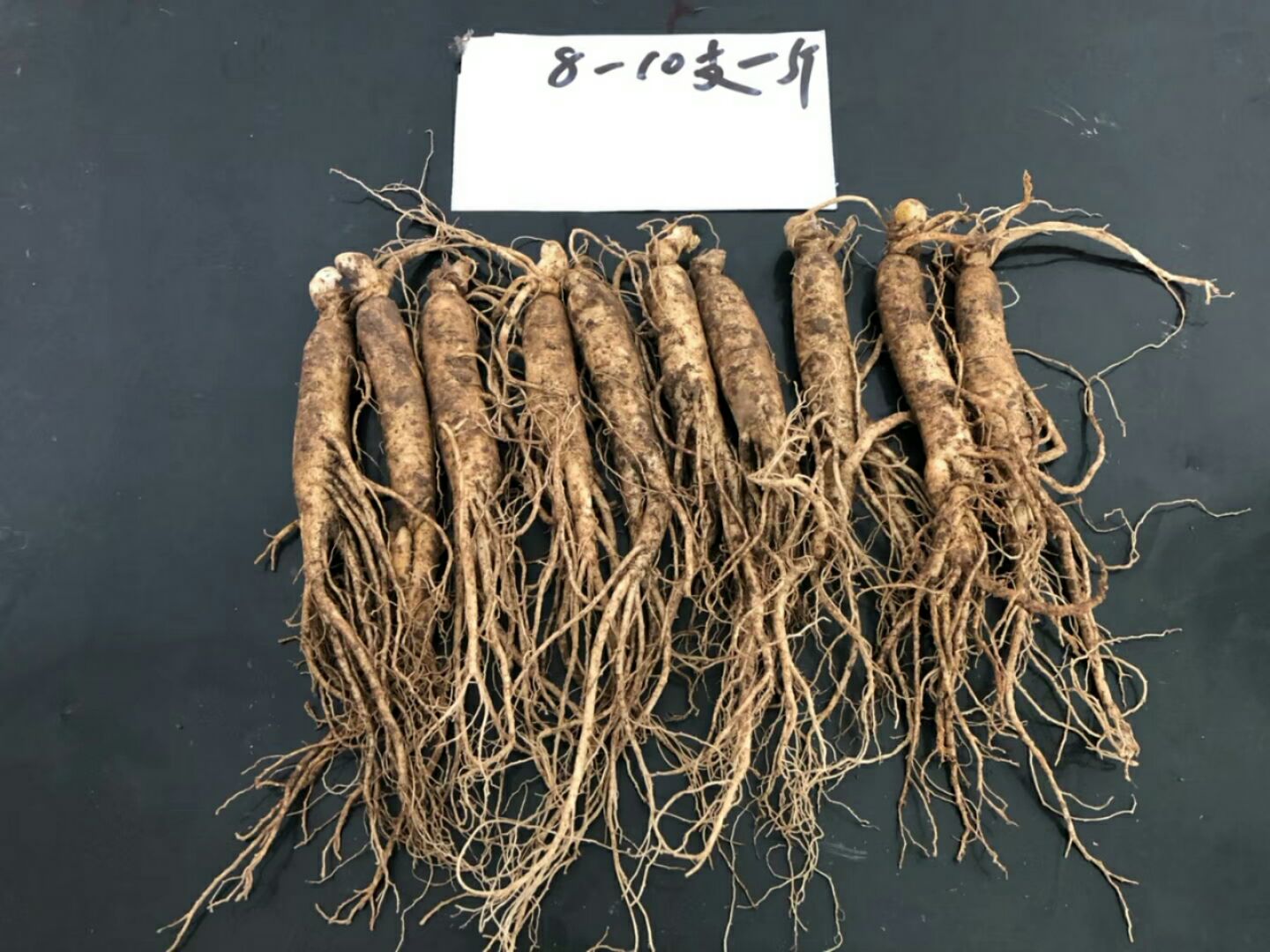 长白山人参 鲜参 