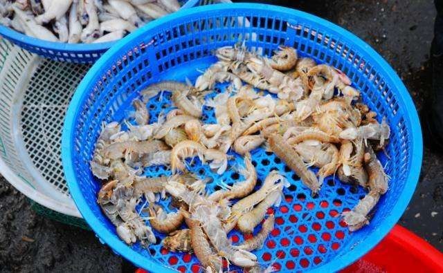 中山市皮皮虾