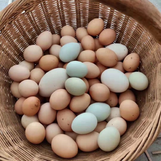 沂水县土鸡蛋 食用 箱装 