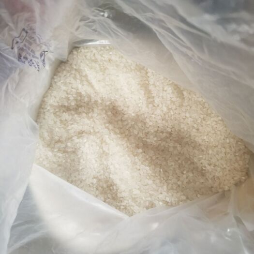 济宁碎米 二等品 一季稻 粳米