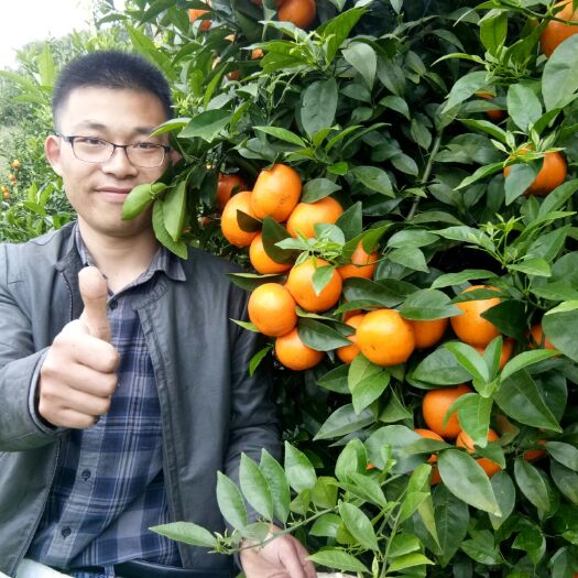 郑州水溶肥料