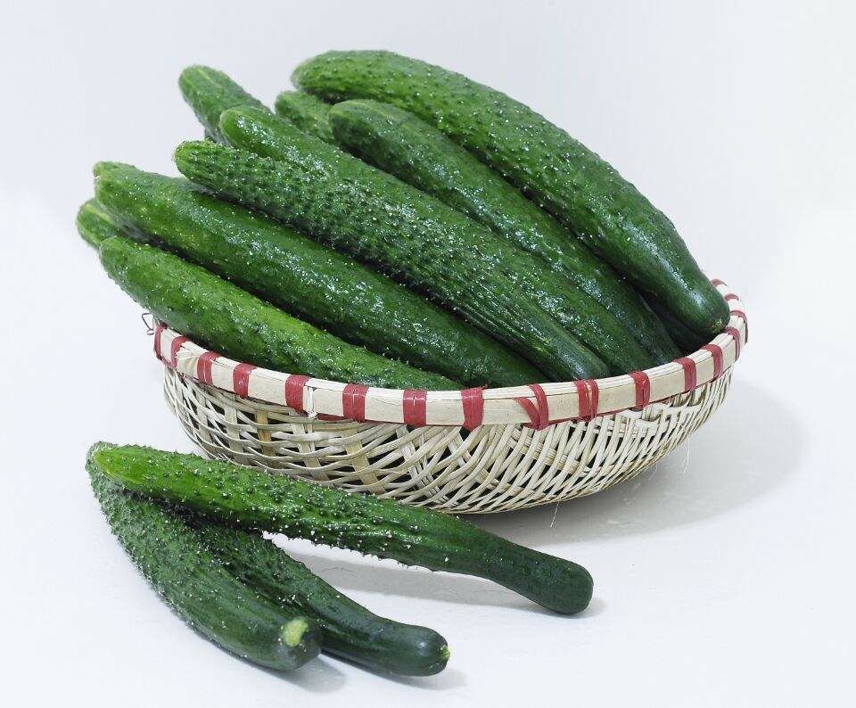 密刺黄瓜 混装通货