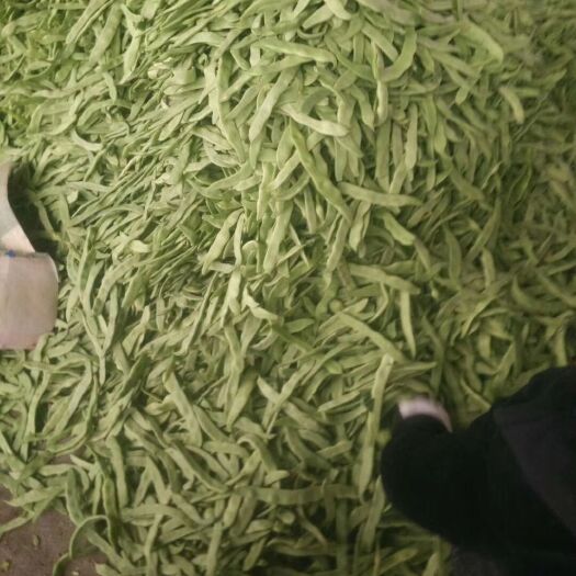 莘县绿扁豆 扁豆荚 