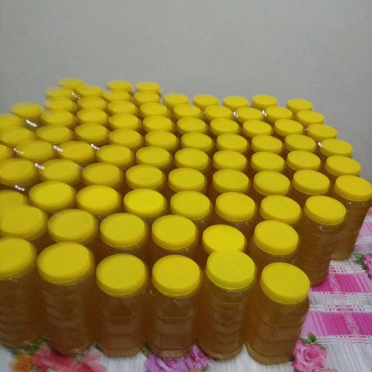 天长市油菜蜜 桶装 1年  