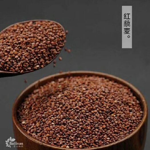 东莞市红藜麦 
