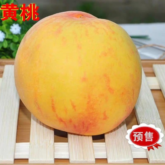 蒙阴县黄桃1号 55mm以上 3 - 4两 