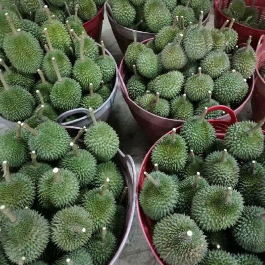 昆明巴掌榴莲 1000克