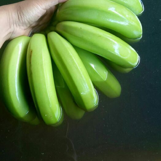 越南香蕉 七成熟 