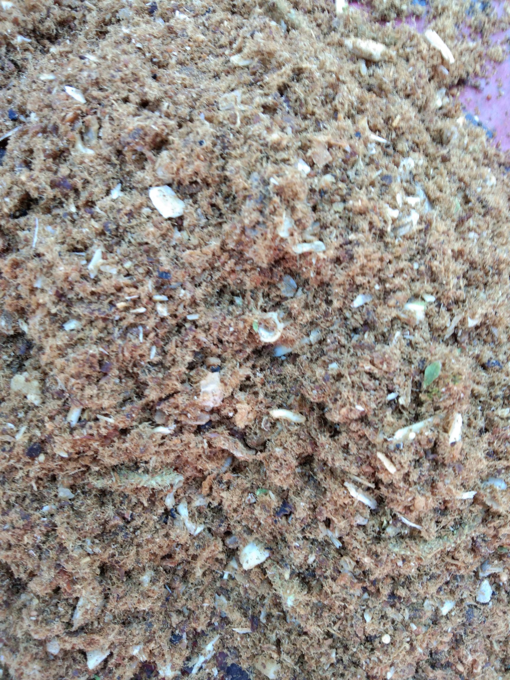 三文鱼饲料用鱼油，高温水煮大锅沉淀提炼，鱼排油，出香味的鱼油