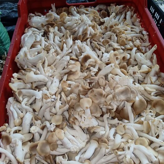 昆明恒温冷库