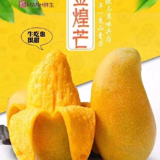 南宁金煌芒 8两以上