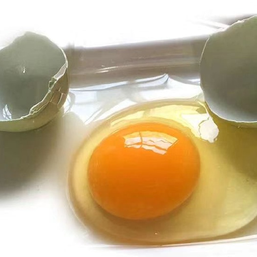 长沙土鸡蛋 食用 散装