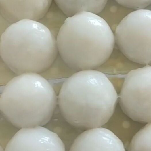 北票市粘豆包 2-3个月