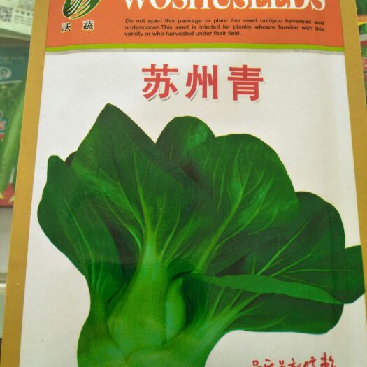 连云港小白菜种子 原种 ≥85%