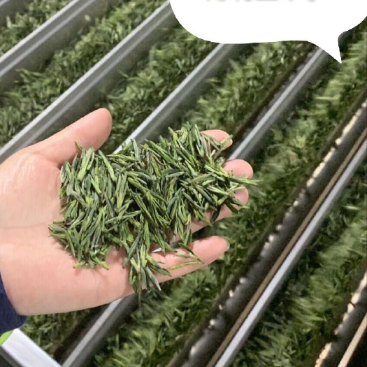 仪征市绿杨春茶叶 扬州茗茶绿杨春