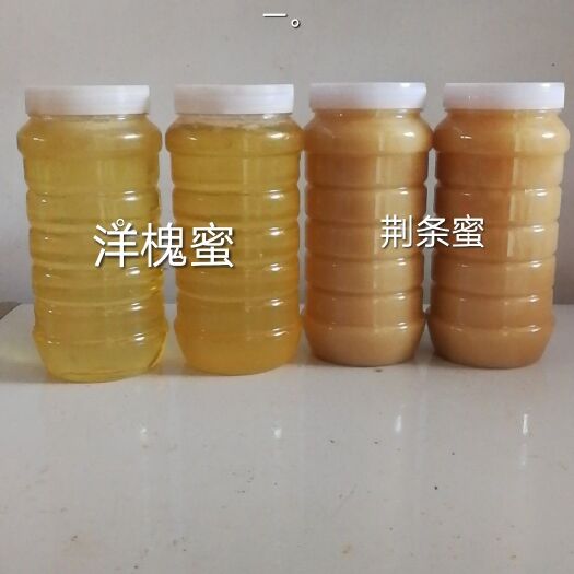桐柏县意蜂蜂蜜 桶装 1年 80%以上