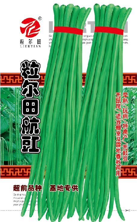 青县长青豆角种子  ≥99% 粒尔田航豇种子