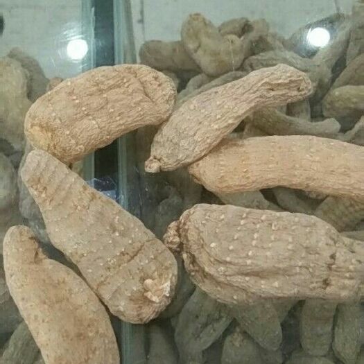 彝良县小草坝天麻