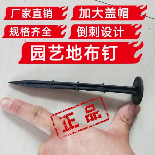 德州地钉