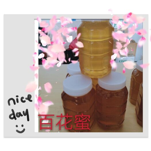 漳州冬蜜 塑料瓶装 2年 90%以上
